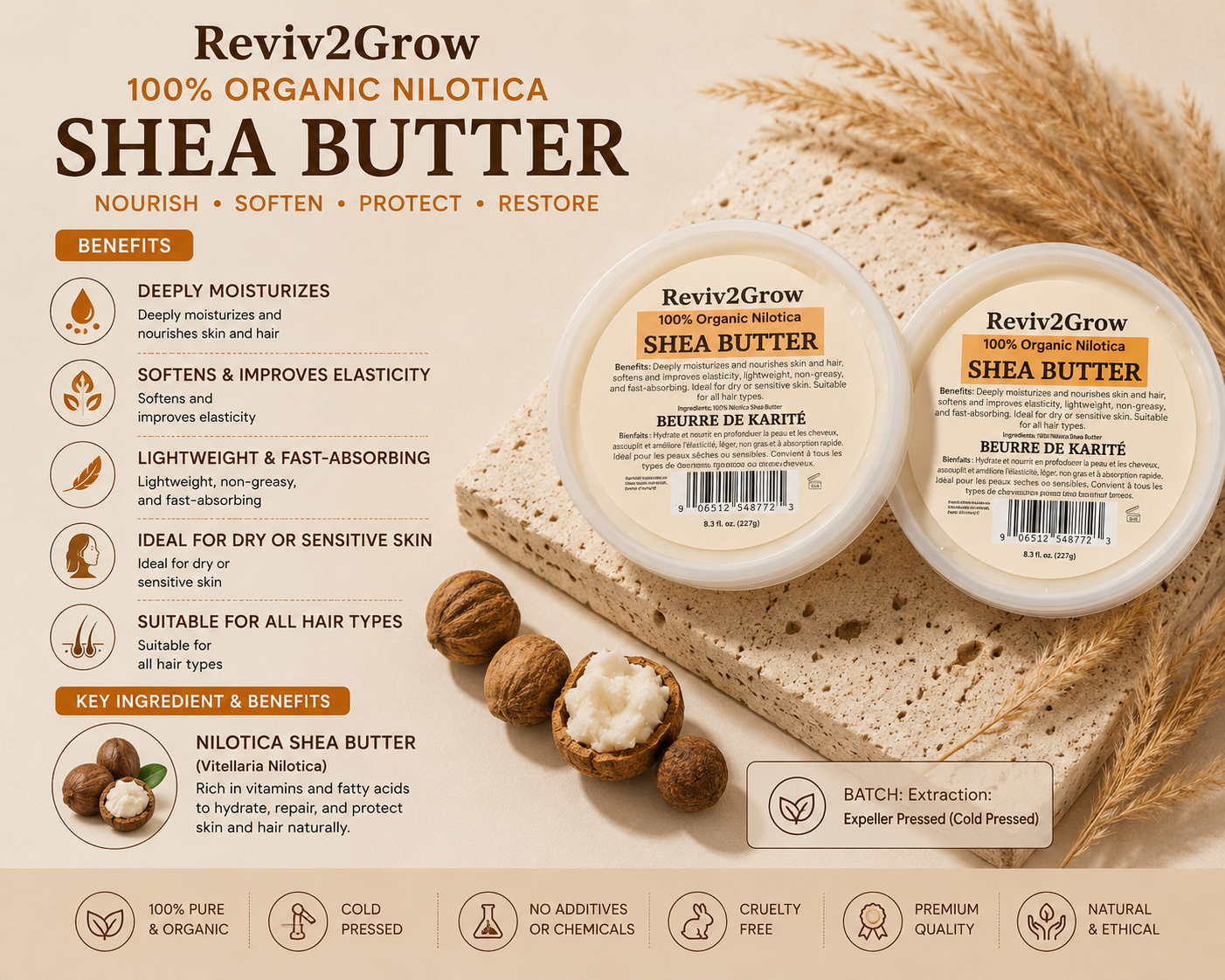 Reviv2Grow Shea Butter packaging with ingredients and benefits on a beige background
