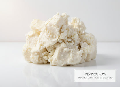 REVIV2GROW 100% Raw Unrefined African Shea Butter - White